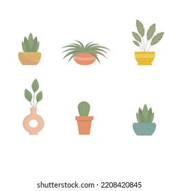 Set of vector potted  green plants. Home plants for interior. Decorative clay pots. 