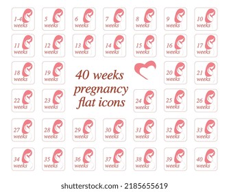 Set of vector pregnancy icons. Process. 40 weeks