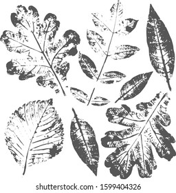 Set of vector prints of autumn leaves for textiles. Vintage background for autumn cards, invitations.