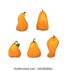 A set of vector pumpkins in a cartoon style for Halloween.