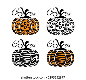 Set of vector pumpkins. Leopard and zebra patterns. 
Two versions: the orange pumpkin is layered, and the other is only one layer.
Thanksgiving celebration design. Fall  Autumn graphic elements.
