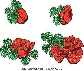 set of vector rafflesia arnoldii flowers with many variants, usually used for decoration, elements, banners, education