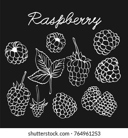 Set of vector raspberry Hand drawn collection for design, isolated on black. Raspberries graphic sketch illustration for farm product, restaurant menu, market label.  