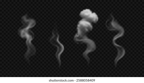 Set of vector realistic cigarette smoke, vapor, haze. White swirl, wavy steam isolated on transparent background