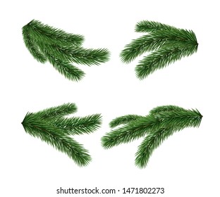 Set of vector realistic detailed fir branches isolated on white background. Christmas tree, spruce branches, pine.