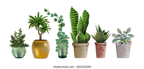 Set of vector realistic detailed house or office plant for interior design and decoration.Tropical and Mediterranean plant for interior decor of home or office