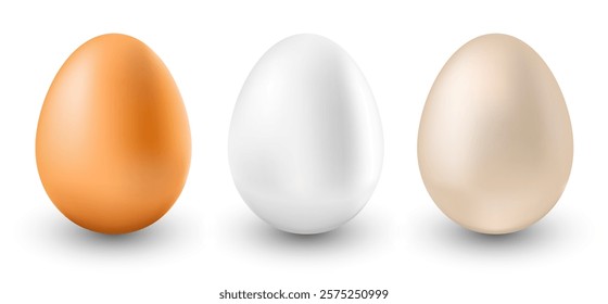 Set of vector realistic eggs on white background , Easter, holiday.