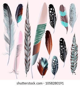 Set of vector realistic feathers for design