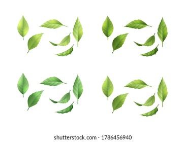 Set of vector realistic green leaves in different color variations