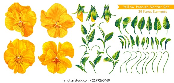 Set of vector realistic hand-drawn detailed flowers of Pansies, yellow Violas. Floral elements, customize your flower from ready-made botanical elements, buds, leaves stems and inflorescences.