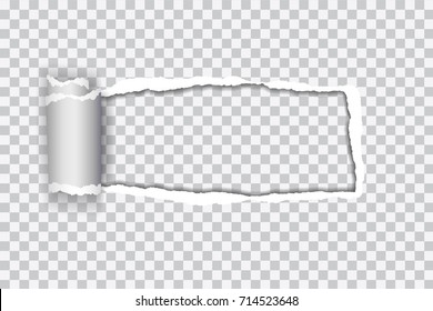Set vector realistic illustration of transparent torn paper with rolled edge on transparent background with frame for text
