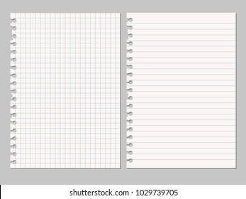 Set Of Vector Realistic Illustrations Of A Torn Sheet Of Paper From A Workbook With Shadow, Isolated On A Gray Background