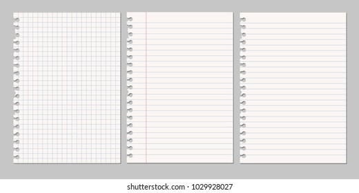 Set of vector realistic illustrations of a torn sheet of paper from a workbook with shadow, isolated on a gray background