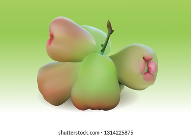 Set Vector Realistic Rose Apple