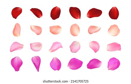 Set of vector realistic rose petals in different colors. Isolated red, pink, peach, burgundy volumetric petal on white background. Template for greeting romantic cards. Close-up