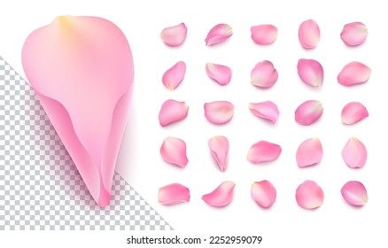 Set of vector realistic rose petals of different shapes with shadow. Isolated pink volumetric sakura petal on transparent white background. Template for greeting romantic cards. Close-up