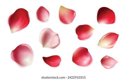 Set of vector realistic rose petals. Decoration for weddings and holidays.