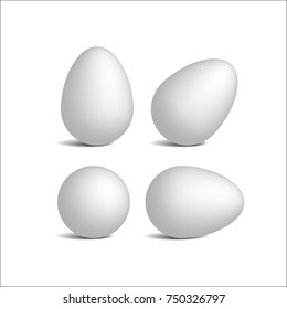 Set vector realistic white eggs. Isolated eggs on white background. Dietary meal. Easter symbol. Vector illustration.