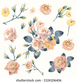 Set of vector realistic yellow, pink roses in vintage style for design