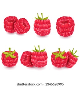 Set of vector red raspberries. Realistic vector illustration.
