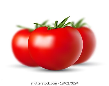 set of vector red ripe tomatoes lies on a white background