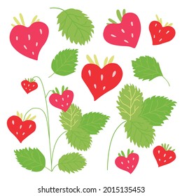 A set of vector red strawberry berries on twigs and separately. Delicious berries.