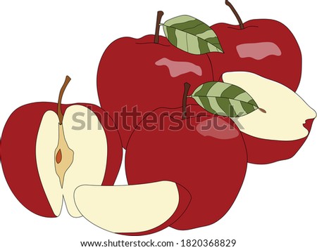 A Set of vector ripe red appels 