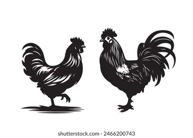 Conjunto de siluetas de gallo de Vector y pollo negro aislado sobre fondo blanco. Animales domésticos, Ilustración vectorial de gallinas, arte de gallinas.