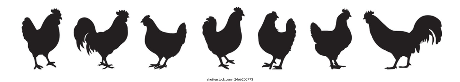 Set of vector rooster and chicken black silhouettes isolated on white background. Domestic animals hen vector illustration. hen art work.