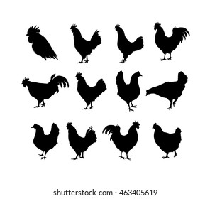 Set of vector rooster and chiken silhouettes on the white background. Chinese calendar for the year of rooster 2017.