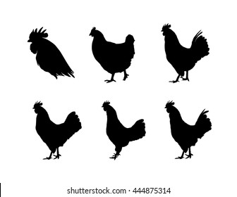 Set of vector rooster silhouettes on the white background. Chinese calendar for the year of rooster 2017.