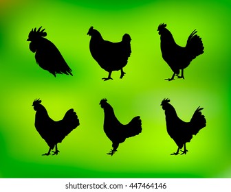 Set of vector rooster silhouettes on the white background. Chinese calendar for the year of rooster 2017.