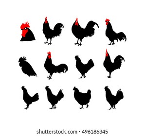 Set of vector rooster silhouettes on the white background for the Chinese calendar (year of rooster 2017).