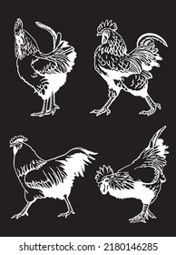 Set of  vector roosters isolated on black background, domestic animals, grahical elements