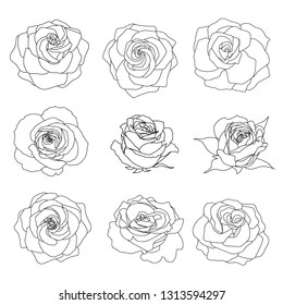 A set of vector roses. Black line art isolated on white.