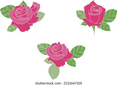 Ilustración de conjunto de rosas vectoriales