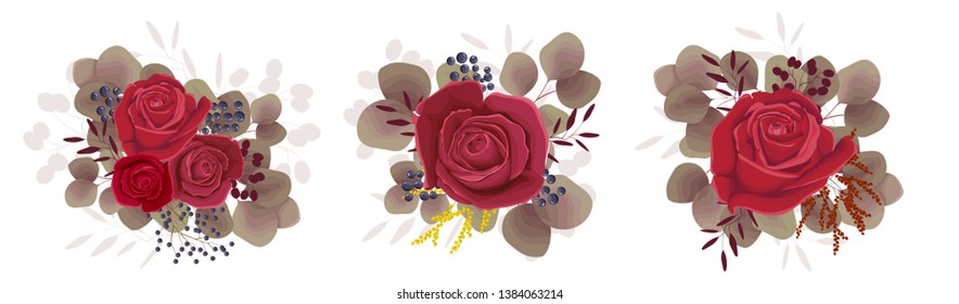Set of vector roses. Red roses, berries, Mimosa, maroon plants. Flowers on white background. All elements are isolated.
