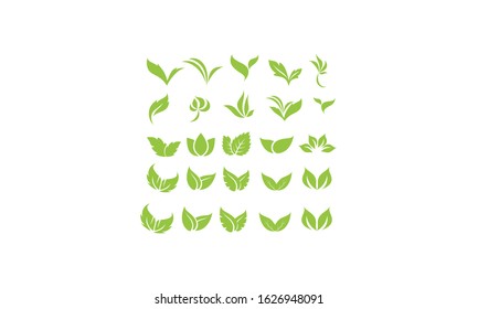 Set Vector Royalty Logo Design Inspiration Green Leaf Icons