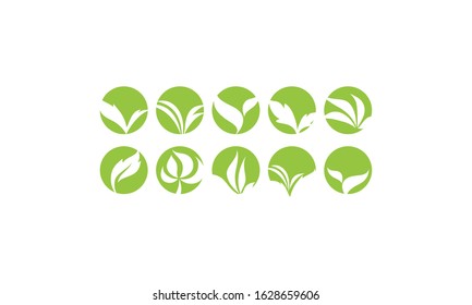 Set Vector Royalty Logo Design Inspiration Green Leaf Icons
