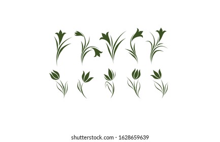 Set Vector Royalty Logo Design Inspiration Green Leaf Icons