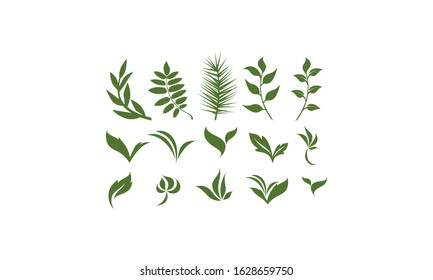 Set Vector Royalty Logo Design Inspiration Green Leaf Icons