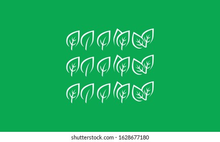 Set Vector Royalty Logo Design Inspiration Green Leaf Icons