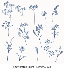 Set of vector rustic hand drawn simple plants for design