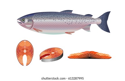 Set of vector salmon - fillet, steak and fish salmon.