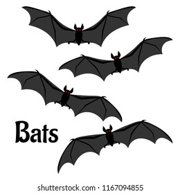 Set of vector scary halloween bats. A vampire bat with open wings.