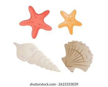 Conjunto de elementos de mar vetorial com estrelas-do-mar e conchas do mar. Colorido mão desenhado clipart marinho de verão. Ícones decorativos isolados da praia do oceano para crianças, férias, design tropical e náutico.