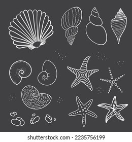 Set of vector sea life hand drawn illustrations. Isolated mollusk, scallop, shark eye and spindle shells, sea stars, stones and sand.