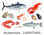 Set of vector seafood and fish. Cartoon flat Illustration of mussel, salmon fish, shrimp, caviar, lobster, crayfish, crab, oyster and tuna isolated on white. 