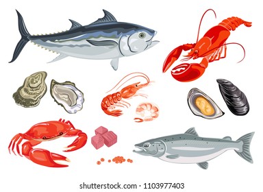 Set of vector seafood and fish. Cartoon flat Illustration of mussel, salmon fish, shrimp, caviar, lobster, crayfish, crab, oyster and tuna isolated on white. 