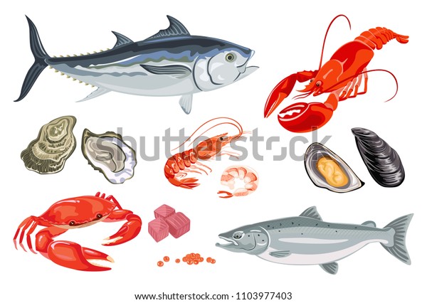 Set Vector Seafood Fish Cartoon Flat Stock Vector (Royalty Free ...